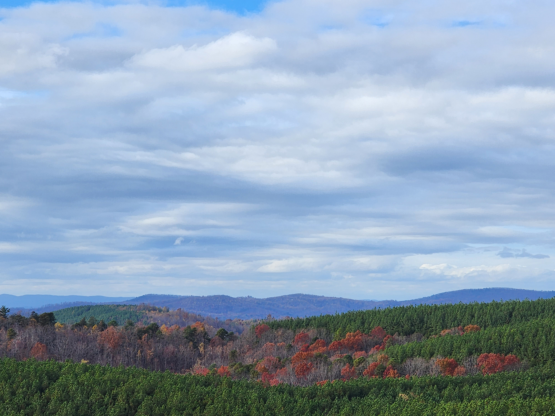 Blue Knob Complex