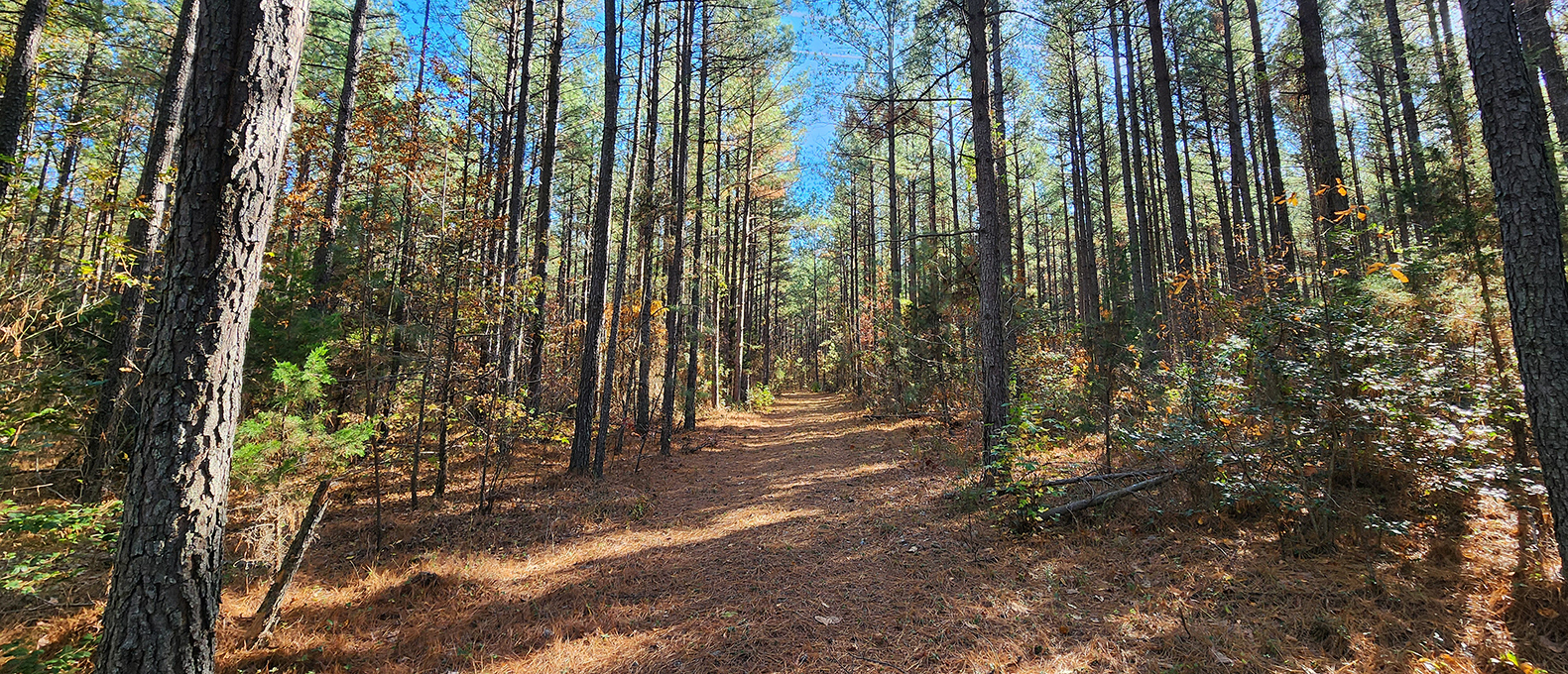 Grand Brooks Road