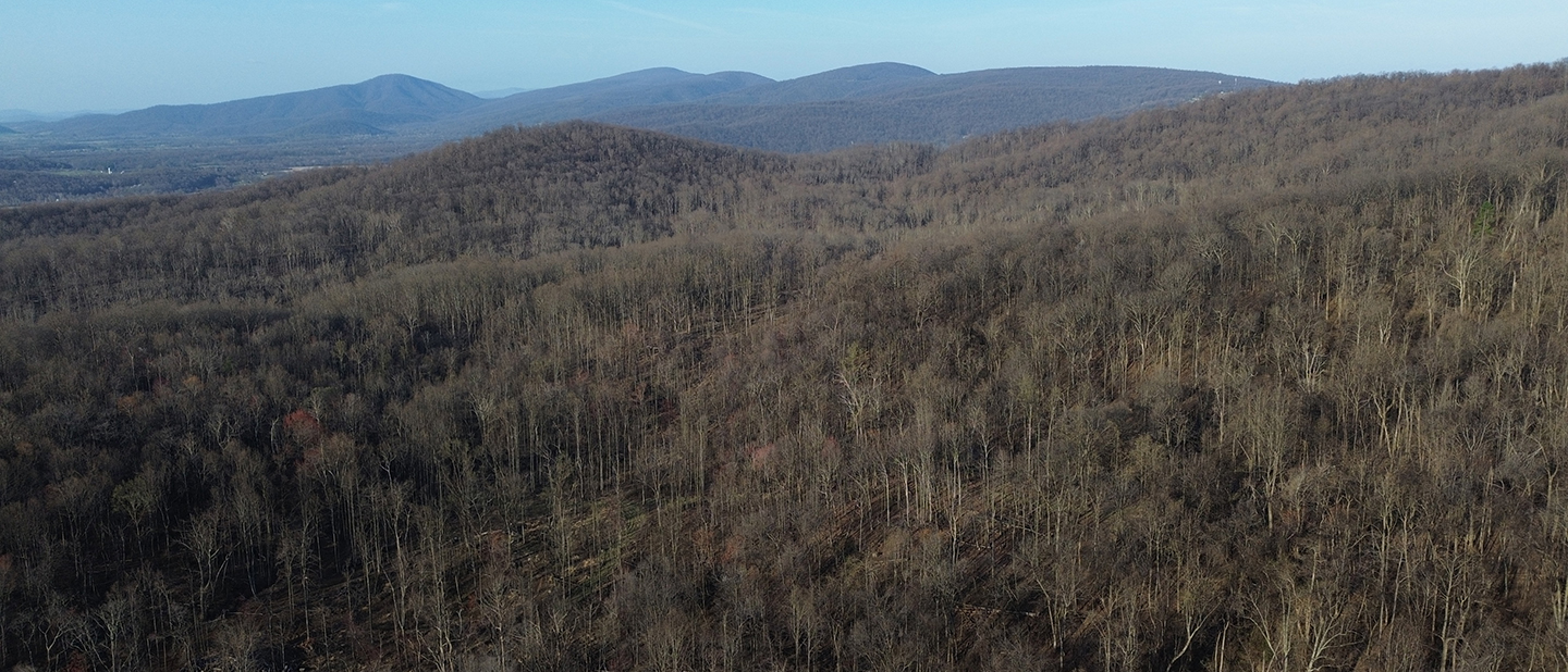 Hardscrabble Road